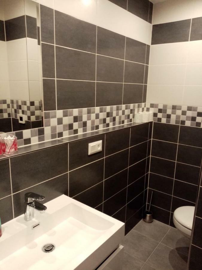 Apartman Aneta 카를로비바리 외부 사진